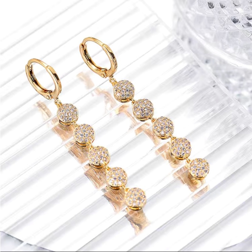 NWT Long Earrings